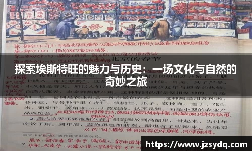 星空综合官网