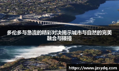 星空综合官网