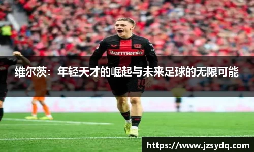 星空综合官网